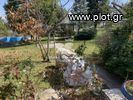 Μονοκατοικία 450τ.μ. για πώληση-Λαμία