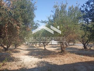 Οικόπεδο 340 τ.μ. για πώληση, Ν. Χανίων, Αρμενοί-thumb-10