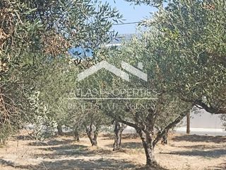 Οικόπεδο 340 τ.μ. για πώληση, Ν. Χανίων, Αρμενοί-thumb-9