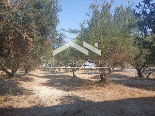 Οικόπεδο 340 τ.μ. για πώληση, Ν. Χανίων, Αρμενοί-thumb-1