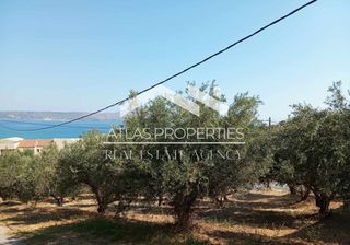Οικόπεδο 340 τ.μ. για πώληση, Ν. Χανίων, Αρμενοί-thumb-6
