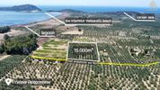 Land plot 15.000sqm for sale-Pilos » Gialova