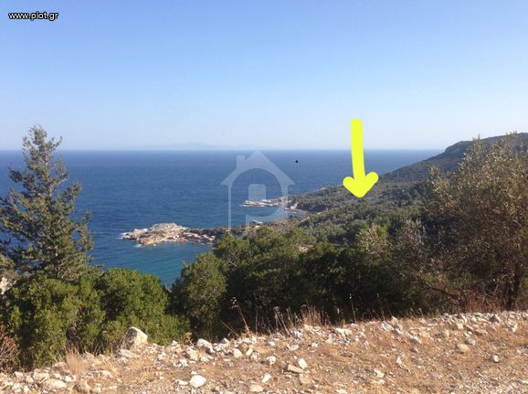 Αγροτεμάχια 46.000 τ.μ. για πώληση, Ν. Σάμου, Σάμος