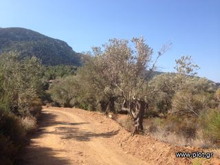 Αγροτεμάχια 46.000 τ.μ. για πώληση, Ν. Σάμου, Σάμος-thumb-1