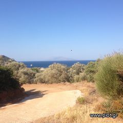 Αγροτεμάχια 46.000 τ.μ. για πώληση, Ν. Σάμου, Σάμος-thumb-3