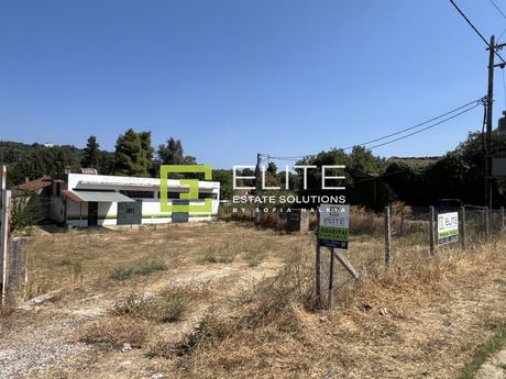 Business bulding 591sqm for sale-Argalasti » Center