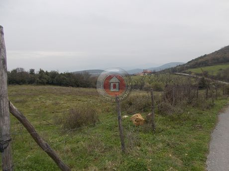Οικόπεδο 500τ.μ. για πώληση-Δοβρά » Πατρίδα