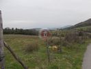 Land plot 500sqm for sale-Dovra » Patrida