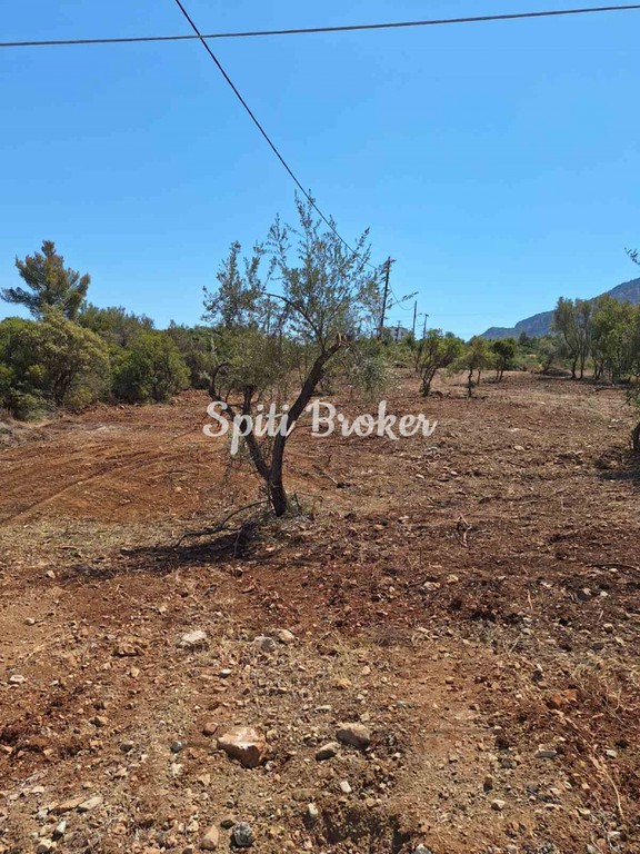 Οικόπεδο 845 τ.μ. πρός πώληση, Βοιωτία, Ακραίφνια