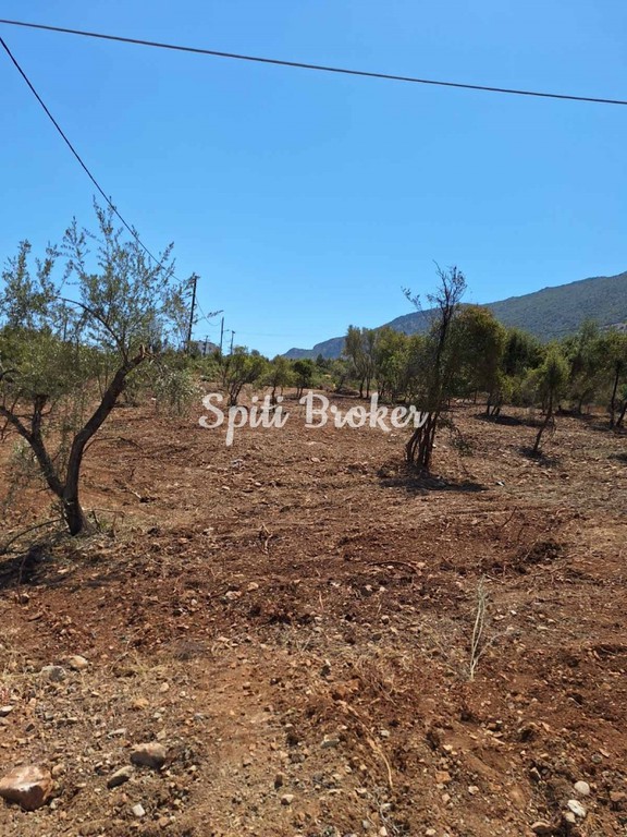 Οικόπεδο 845 τ.μ. πρός πώληση, Βοιωτία, Ακραίφνια