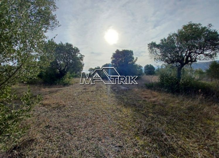 Αγροτεμάχια 1.788 τ.μ. προς πώληση, Άγιος Νικόλαος Σιθωνίας