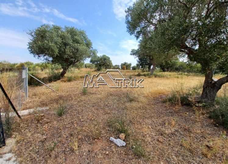 Αγροτεμάχια 1.788 τ.μ. προς πώληση, Άγιος Νικόλαος Σιθωνίας