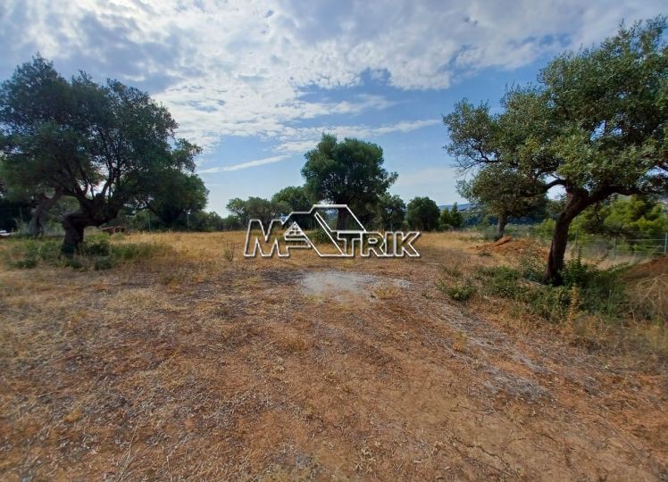 Αγροτεμάχια 1.788 τ.μ. προς πώληση, Άγιος Νικόλαος Σιθωνίας