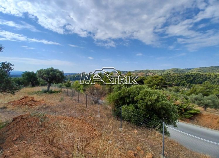 Αγροτεμάχια 1.788 τ.μ. προς πώληση, Άγιος Νικόλαος Σιθωνίας