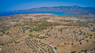 Αγροτεμάχια 13.581 τ.μ. για πώληση, Αργολίδα, Κρανίδι-thumb-12