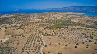 Αγροτεμάχια 13.581 τ.μ. για πώληση, Αργολίδα, Κρανίδι-thumb-16