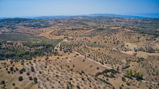 Αγροτεμάχια 13.581 τ.μ. για πώληση, Αργολίδα, Κρανίδι-thumb-15