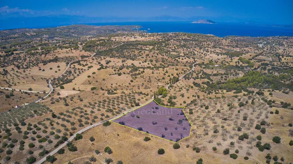 Αγροτεμάχια 13.581 τ.μ. προς πώληση, Δορούφι