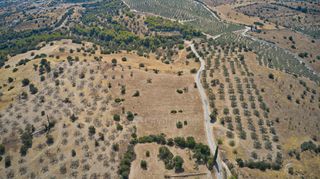 Αγροτεμάχια 13.581 τ.μ. για πώληση, Αργολίδα, Κρανίδι-thumb-7