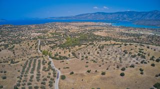 Αγροτεμάχια 13.581 τ.μ. για πώληση, Αργολίδα, Κρανίδι-thumb-24