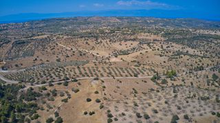 Αγροτεμάχια 13.581 τ.μ. για πώληση, Αργολίδα, Κρανίδι-thumb-9