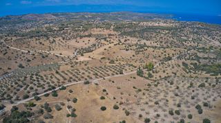 Αγροτεμάχια 13.581 τ.μ. για πώληση, Αργολίδα, Κρανίδι-thumb-21