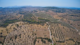 Αγροτεμάχια 13.581 τ.μ. για πώληση, Αργολίδα, Κρανίδι-thumb-19