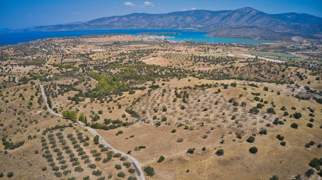 Αγροτεμάχια 13.581 τ.μ. προς πώληση, Δορούφι