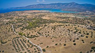 Αγροτεμάχια 13.581 τ.μ. για πώληση, Αργολίδα, Κρανίδι-thumb-4