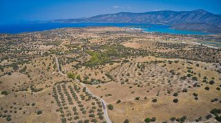 Αγροτεμάχια 13.581 τ.μ. για πώληση, Αργολίδα, Κρανίδι-thumb-14