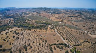 Αγροτεμάχια 13.581 τ.μ. για πώληση, Αργολίδα, Κρανίδι-thumb-13