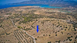Αγροτεμάχια 13.581 τ.μ. για πώληση, Αργολίδα, Κρανίδι-thumb-3