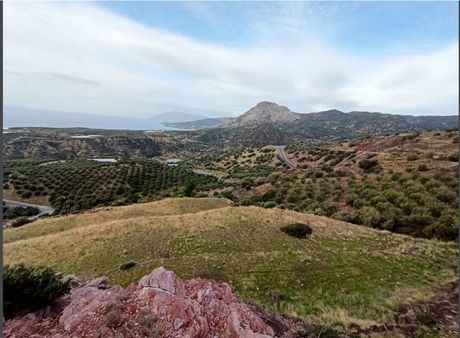 Οικόπεδο 24.664τ.μ. για πώληση-Βιαννός » Νέα άρβη