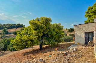 Αγροτεμάχια 20.000 τ.μ. πρός πώληση, Αργολίδα, Κρανίδι-thumb-5