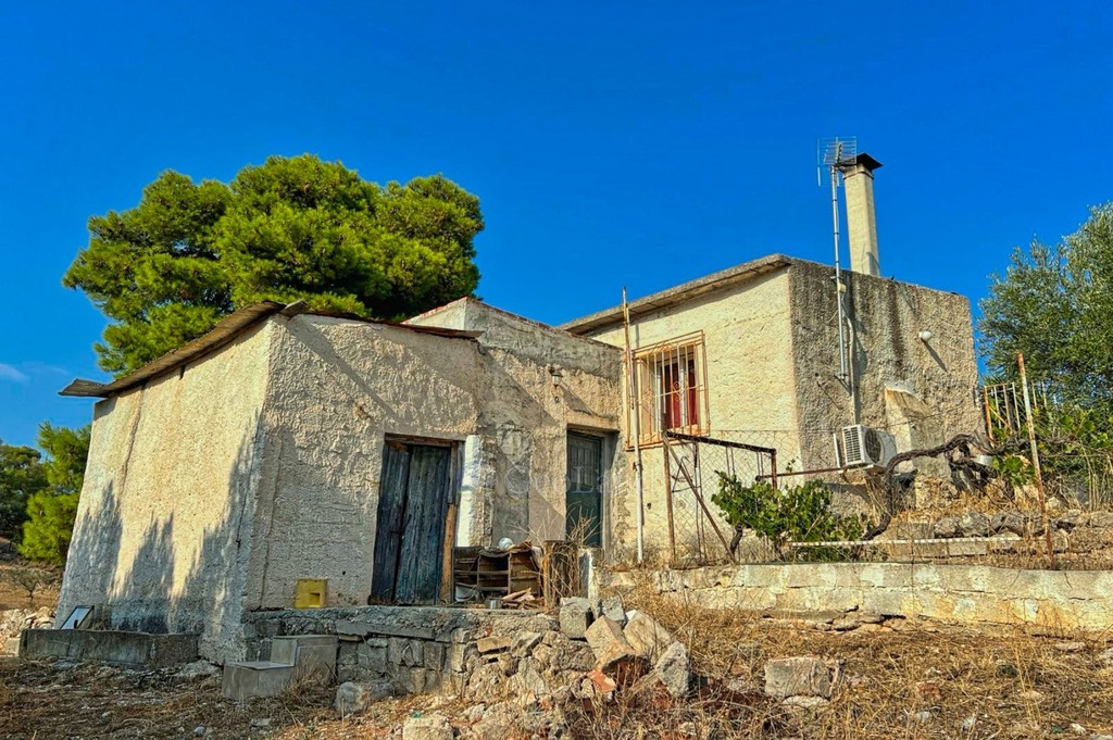 Αγροτεμάχια 20.000 τ.μ. πρός πώληση, Αργολίδα, Κρανίδι