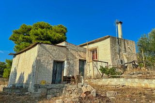 Αγροτεμάχια 20.000 τ.μ. πρός πώληση, Αργολίδα, Κρανίδι-thumb-3