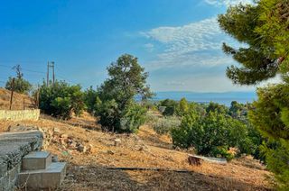 Αγροτεμάχια 20.000 τ.μ. πρός πώληση, Αργολίδα, Κρανίδι-thumb-7