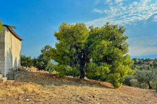 Αγροτεμάχια 20.000 τ.μ. πρός πώληση, Αργολίδα, Κρανίδι-thumb-9