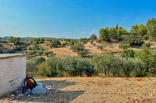Αγροτεμάχια 20.000 τ.μ. πρός πώληση, Αργολίδα, Κρανίδι-thumb-13