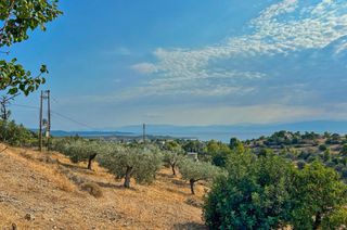 Αγροτεμάχια 20.000 τ.μ. πρός πώληση, Αργολίδα, Κρανίδι-thumb-1