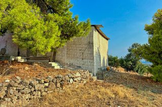 Αγροτεμάχια 20.000 τ.μ. πρός πώληση, Αργολίδα, Κρανίδι-thumb-11