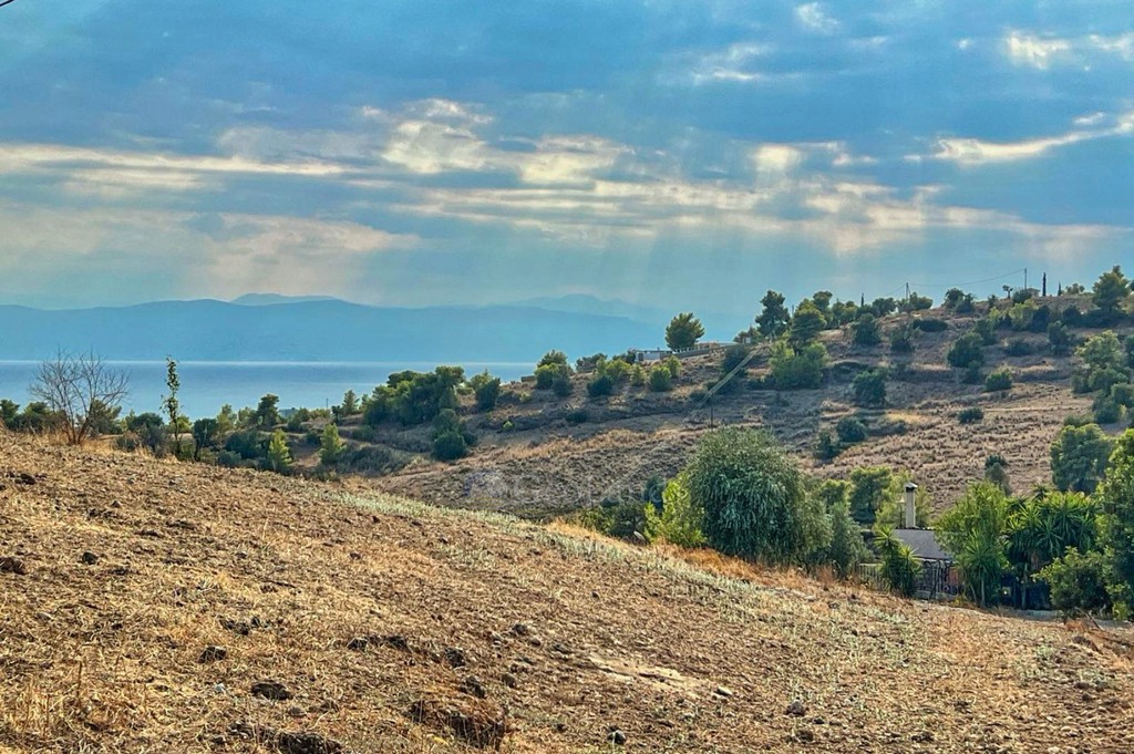 Αγροτεμάχια 20.000 τ.μ. πρός πώληση, Αργολίδα, Κρανίδι