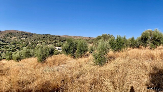 Οικόπεδο 3.100 τ.μ. πρός πώληση, Ν. Ρεθύμνου, Αρκάδι