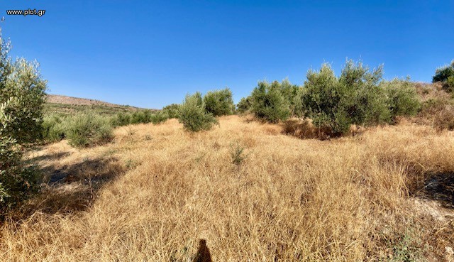 Οικόπεδο 3.100 τ.μ. για πώληση, Ν. Ρεθύμνου, Αρκάδι
