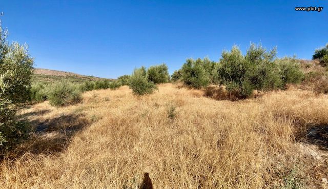 Οικόπεδο 3.100 τ.μ. για πώληση, Ν. Ρεθύμνου, Αρκάδι