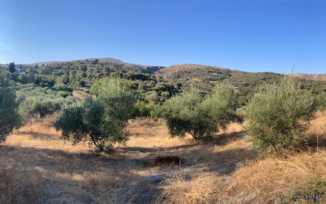 Οικόπεδο 3.100 τ.μ. πρός πώληση, Ν. Ρεθύμνου, Αρκάδι