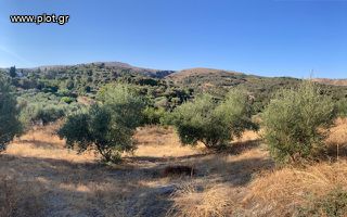 Οικόπεδο 3.100 τ.μ. για πώληση, Ν. Ρεθύμνου, Αρκάδι-thumb-1