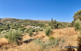 Οικόπεδο 3.100 τ.μ. για πώληση, Ν. Ρεθύμνου, Αρκάδι-thumb-4