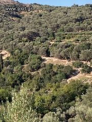 Οικόπεδο 3.100 τ.μ. για πώληση, Ν. Ρεθύμνου, Αρκάδι-thumb-6