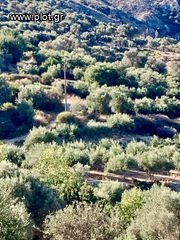 Οικόπεδο 3.100 τ.μ. για πώληση, Ν. Ρεθύμνου, Αρκάδι-thumb-7